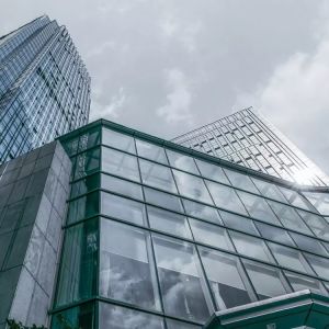 Exposed Aluminum Cladding Frame Glass Curtain Wall Exterior Customized