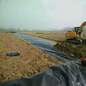 ASTM GRI-GM13 Standard Black Pool Liner 60 mil HDPE Liner for Fish Pond Project