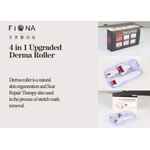 Microneedle face derma roller 4 in 1 titanium 300/720/1200 needles with 3 replaceable rollers