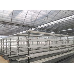 Vertical Automated Pvc Nft Hydroponics System Nft Hydroponic Farm