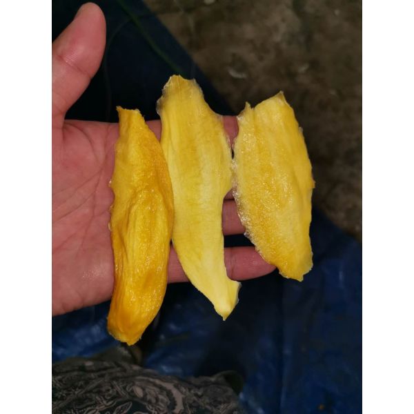 Heat Pump Dryer for drying mango