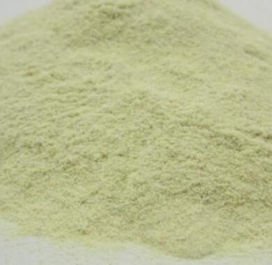 Quality Max 8% Moisture Sushi Wasabi Powder Horseradish Ingredient 100 - 120 Mesh wholesale