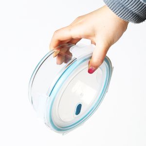 Oven Safe 950ml Borosilicate Glass Food Container