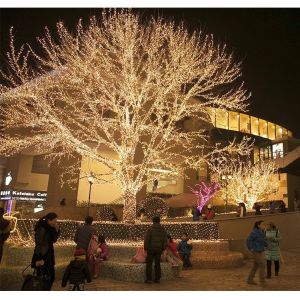 Solar Power Efficient Color Changing Christmas Globe String Lights 8 Modes 100