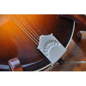 Handmade custom advanced 8 strings QT-F5 mandolin electric guitar with ebony