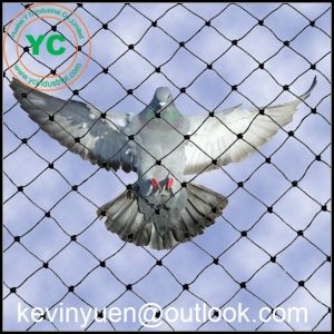 POULTRY NETTING GAME BIRD NET AVIARY NETS