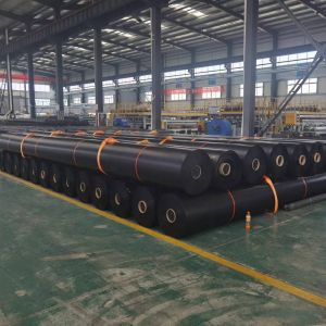 500 Micron HDPE Geomembrane P-Liners Width 2m-8m for Philippines Environmental