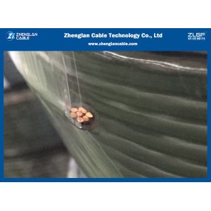 H07V-R Stranded Conductor Class 2 CU/PVC BV 6sqmm Building Wire And Cable