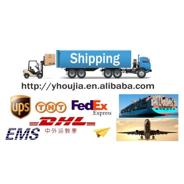 Ss Y Strainer Filter