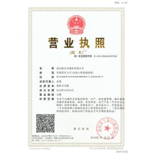 Wuhan Geehe Optical Communication Co.,ltd Certifications