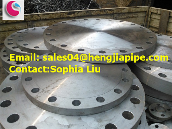 Quality CS SS professional flanges wholesale