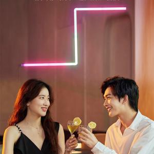 WiFi 2.4GHz Glide Wall Light 16 Million Color For Indoor Decoration