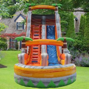 Custom Logo Printed Inflatable Bouncer Mega Slide 2024 Design Water Slide for