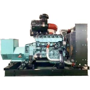 Cheap 50HZ/60HZ Frequency Natural Gas 250kw SINOTRUK T12D Standby Generator for Manufactory for sale
