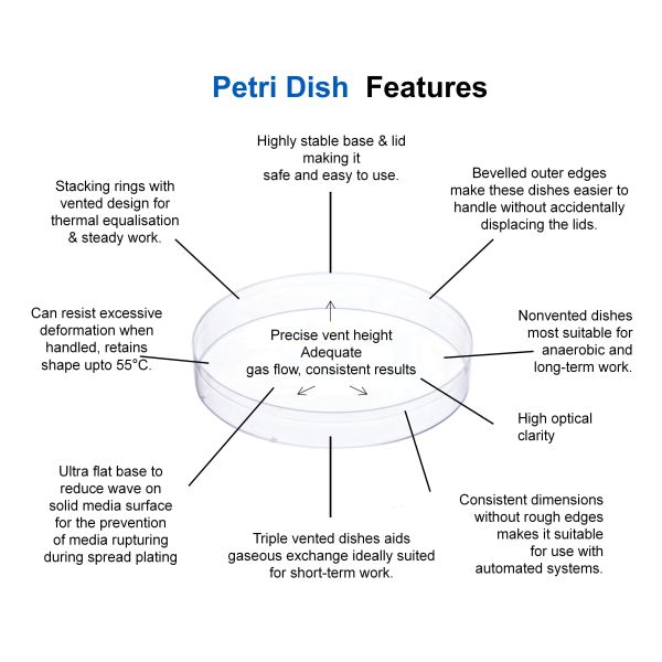 petri dish Laboratory Services 150x15mm Large Petri Dishes Culturing Cells Disposability