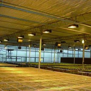 Return refunds Guaranteed Multi-Span Greenhouse for Growing Tomato Cucumber