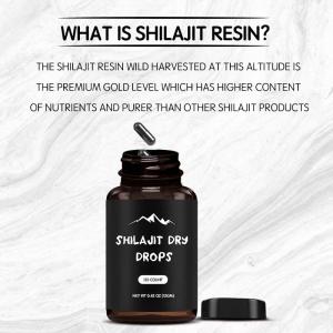 Wholesale private label OEM Factory Supply Shilajit Extract shilajit extract