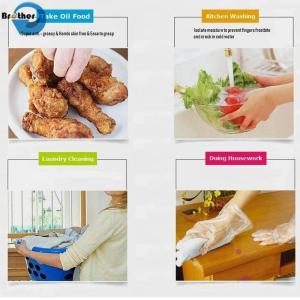 Plastic Disposable PE Gloves for Food Handling Latex-Free Powder-Free Food Grade