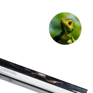 Reptile EDJ T5 Grow Light Fixture 2925lm fluorescent tubes lights