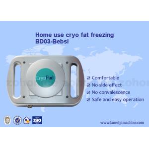 Cheap Home use mini Cryo antifreeze pad cryolipolysis body slimming machine for sale