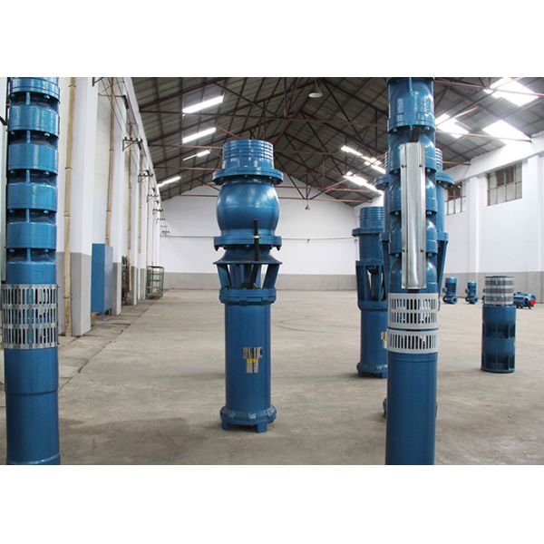 Industrial 3000m3/H 4m 6m 10m Head Drain Water Submersible Axial Flow Pump