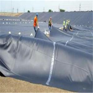 Customized Width HDPE Geomembrane for Landfill and Fish Pond Environmentally