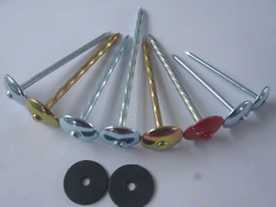 Galvanized Roofing nails with good quality
