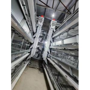 China 0.75kw Auto Feeding Layer Chicken Cage 54-384 Birds For Husbandry on sale