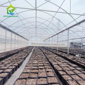 Multiple Span Plastic Greenhouse With Whole Systems
