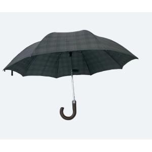 Metal Compact Umbrella 20.5Inches 8Ribs 2 Folding With Auto Open Mini Umbrella