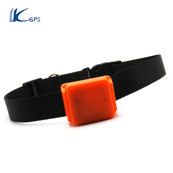 Quality New SIM GSM Chip Waterproof IP66 Pet Dog Cat GPS Tracker Collar LK820 pet  gps tracker wholesale