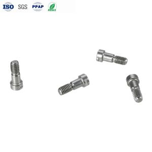 Stainless Steel Hexagon Socket Head Cap Screws with Slotted Locking and Common