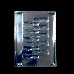 Transparent PET Plastic Packaging Tailored Disposable Blister Tray for Folding