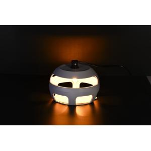 Say Goodbye to Flying Insects with this 320g Termite Moth Flea Trap Catcher