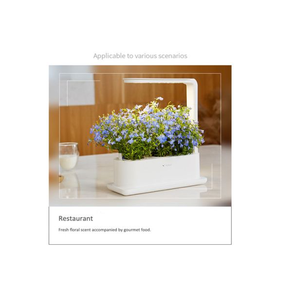 Quality PP LED Acid Resistance Home Hydroponic Growing System wholesale