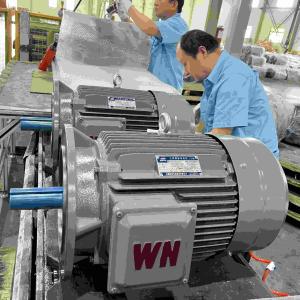 300hp Dust Proof Variable Speed Electric Motor For Transport Machinery