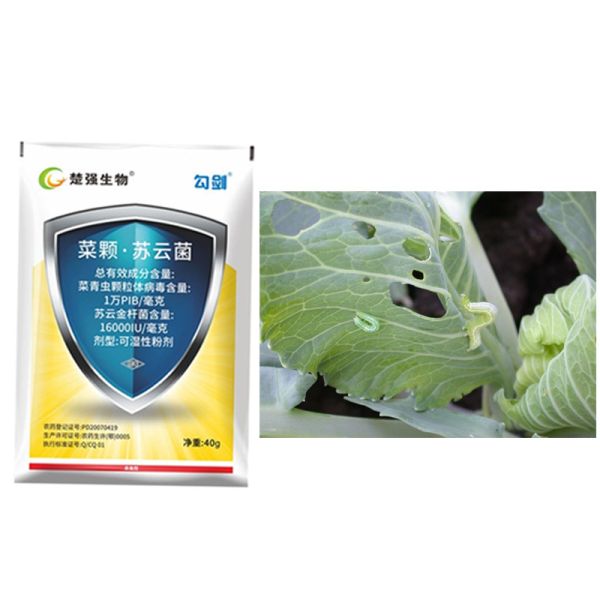 Organic Farming Kill Cabbage Worm PrGV Ecological Biological Pesticide
