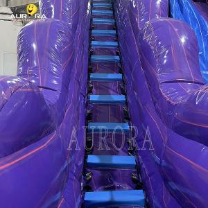 Purple Inflatable Playground Slide For Schools And Day Cares