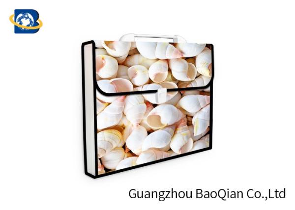 Lenticular Plastic Envelope Folder , Expanding Document Folder 3D UV Printing