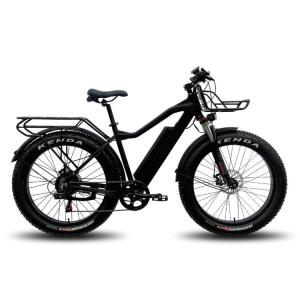Mini Portable Electric Bike With Detachable Battery Lithium 32kgs