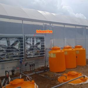 Multi-Span Agricultural Greenhouse 6m-12m Width with 150/200micron PE Film