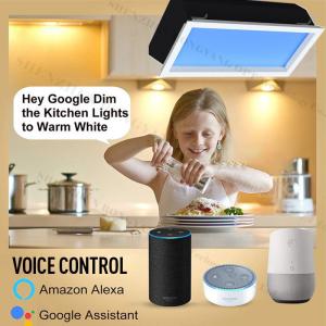 Dimmable Smart LED Panel Light, 2100K-7800K, 40W, Multi-Scene Mode, Remote/App