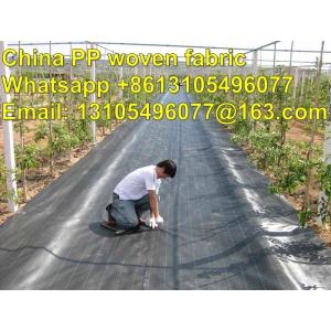 China weed stop  weed mat  ground control and PP GROUND COVER width 1m-5.25m 90gsm on sale