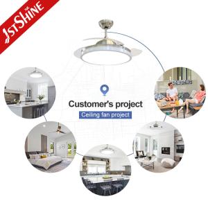 Lighting and Circuitry Design 42'' Invertible Retractable Blades Ceiling Fan