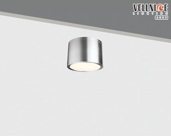 Quality IP44 Waterproof Outdoor 10 W Circle Flush Mount Led Ceiling Light For Bathroom wholesale