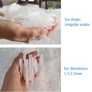 Automatic Seawater Flake Ice Machine 1 Tons Commercial For Food Fish Farm