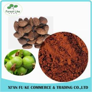 Tsaoko Amomum Fruit Extract / Fructus Tsaoko Extract Powder 4:1 - 20:1