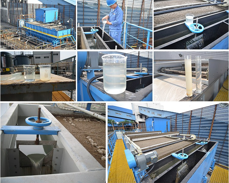 Water Treatment Plant Dissolved Air Flotation Machine with 4-300M3/Hour Capacity