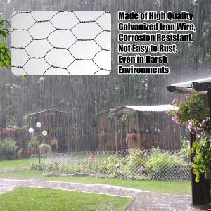 Powder Coated 6x6 Hex Wire Mesh For Fish Cage