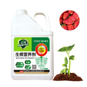 Root Liquid Seaweed Fertilizer With Plant Growth Regulator